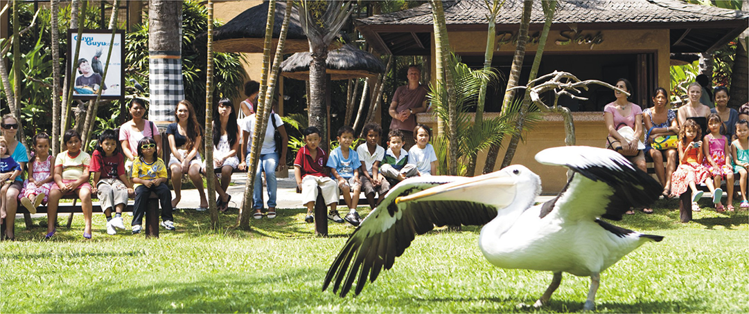 バリ・バードパーク　Bali Bird Park