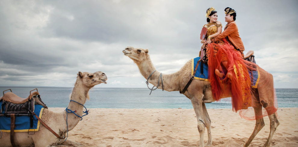 キャメルライド Camel Ride|バリ島オプション