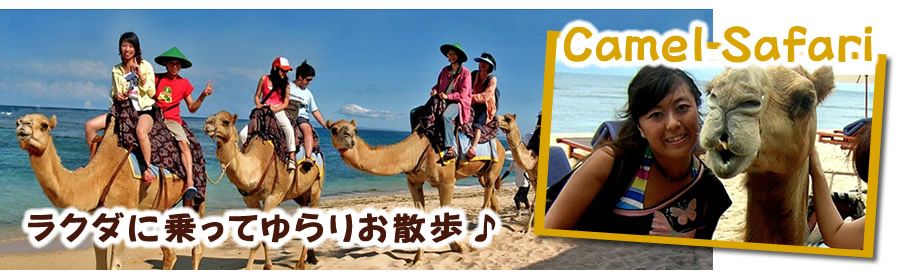 キャメルライド　Camel Ride|バリ島オプション