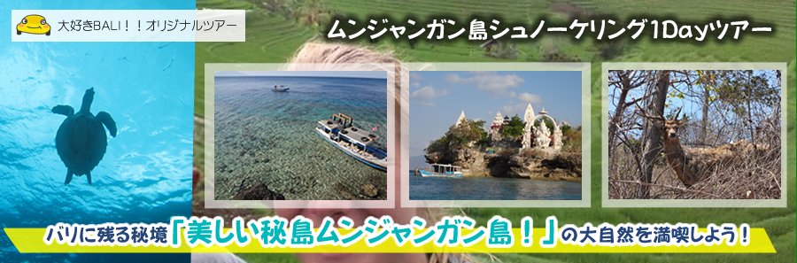 バリ島北西部の秘島：ムンジャンガン島シュノーケリング1Dayツアー